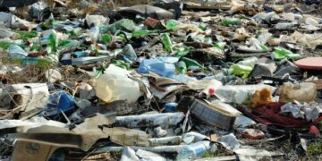 Стихійне сміттєзвалище на Троєщині – на КМДА подали до суду