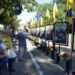 У центрі Звенигородки відкрили Алею Героїв