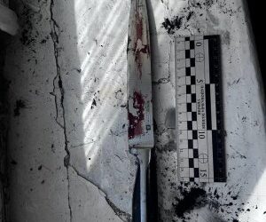 У Миколаєві жінку взято під варту за підозрою у тяжкому пораненні чоловіка » Миколаївський Оглядач