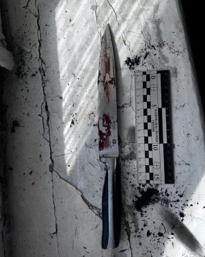 У Миколаєві жінку взято під варту за підозрою у тяжкому пораненні чоловіка » Миколаївський Оглядач