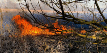 У найближчі дні на Черкащині прогнозують надзвичайну пожежну небезпеку