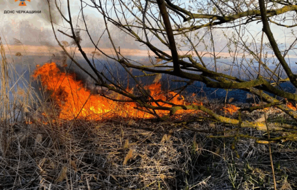 У найближчі дні на Черкащині прогнозують надзвичайну пожежну небезпеку