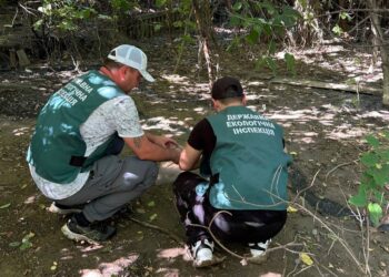 У Запоріжжі містяни повідомили про забруднення ґрунту – вигрібна яма зі стоками була біля розважального центру | Новости Запорожья