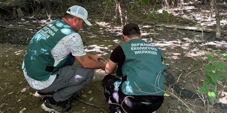 У Запоріжжі містяни повідомили про забруднення ґрунту – вигрібна яма зі стоками була біля розважального центру | Новости Запорожья