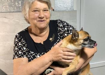 У Запоріжжі працює благодійна ветеринарна клініка – як записатися безплатно | Новости Запорожья