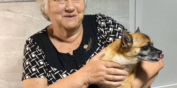 У Запоріжжі працює благодійна ветеринарна клініка – як записатися безплатно | Новости Запорожья