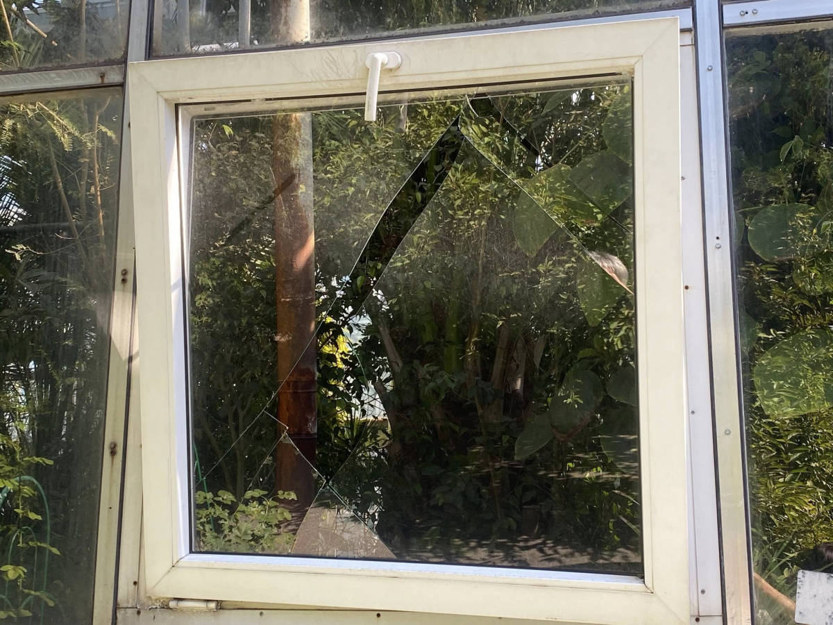 Розбиті оранжереї та пошкоджені рослини - як виглядає запорізький ботсад після російських обстрілів (фото)