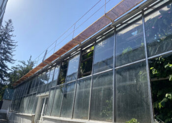 Внаслідок обстрілів Запоріжжя 24 вересня постраждав ботсад, фото – які масштаби руйнувань та як зараз виглядає парк | Новости Запорожья