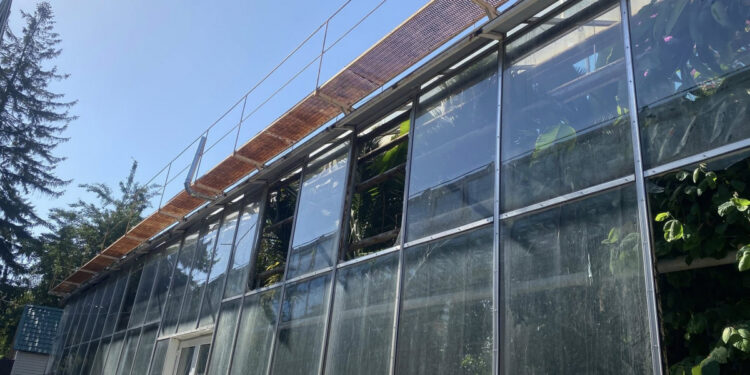 Внаслідок обстрілів Запоріжжя 24 вересня постраждав ботсад, фото – які масштаби руйнувань та як зараз виглядає парк | Новости Запорожья