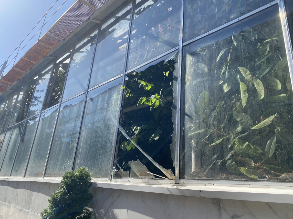 Розбиті оранжереї та пошкоджені рослини - як виглядає запорізький ботсад після російських обстрілів (фото)