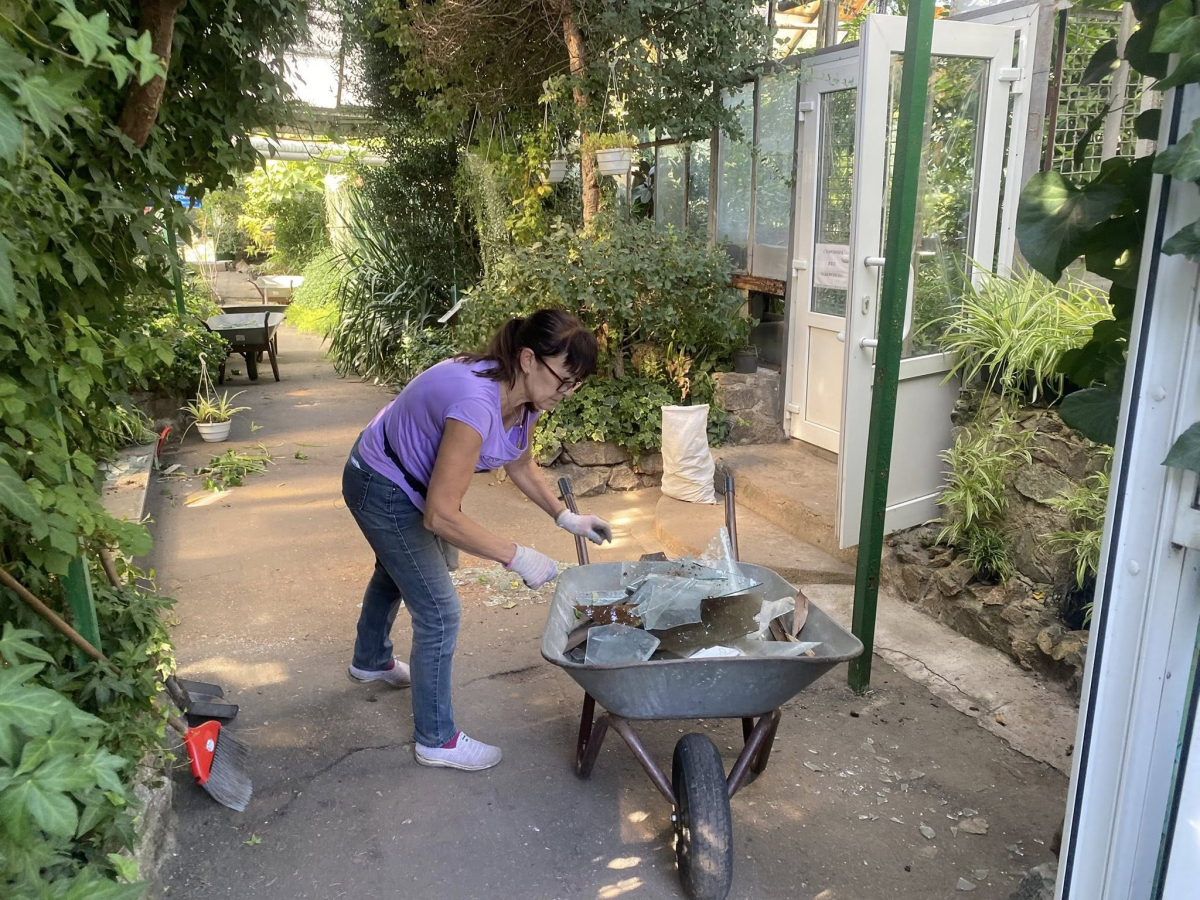 Розбиті оранжереї та пошкоджені рослини - як виглядає запорізький ботсад після російських обстрілів (фото)