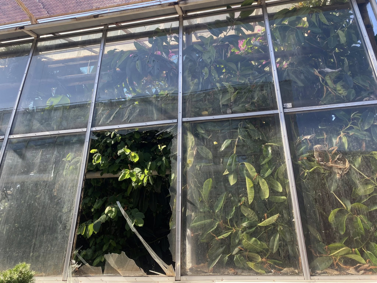 Розбиті оранжереї та пошкоджені рослини - як виглядає запорізький ботсад після російських обстрілів (фото)