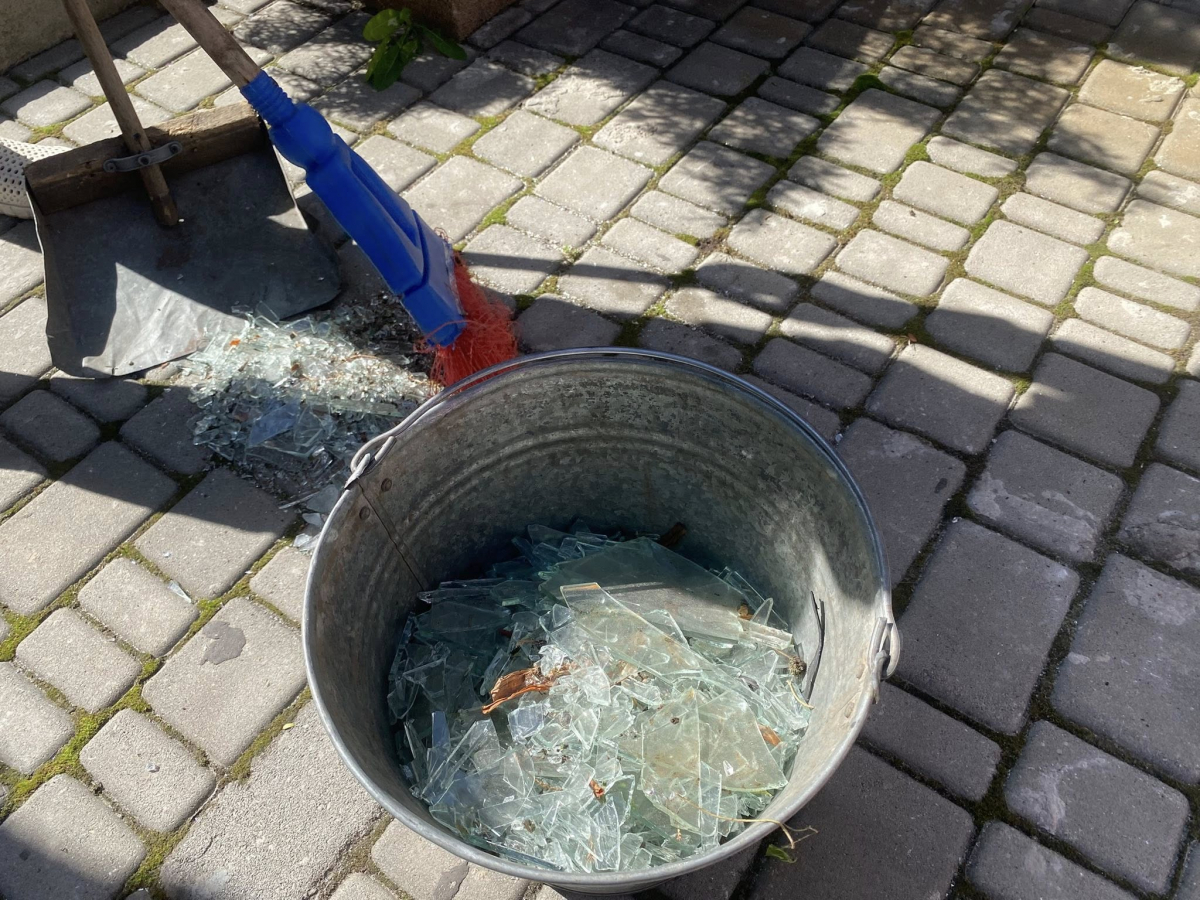 Розбиті оранжереї та пошкоджені рослини - як виглядає запорізький ботсад після російських обстрілів (фото)