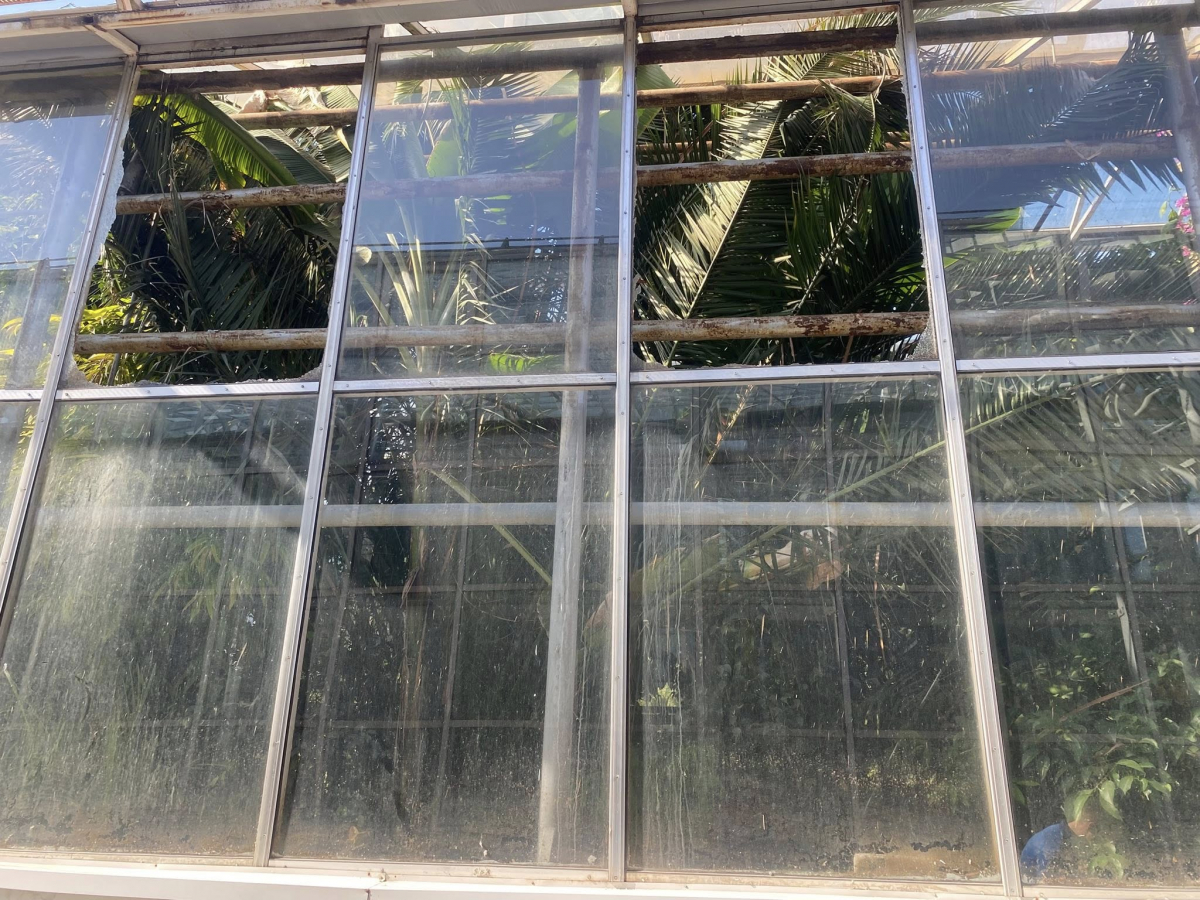 Розбиті оранжереї та пошкоджені рослини - як виглядає запорізький ботсад після російських обстрілів (фото)