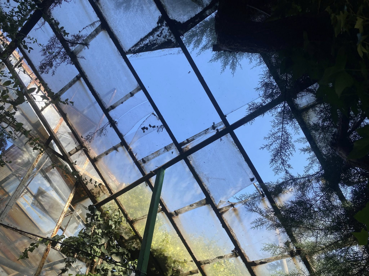 Розбиті оранжереї та пошкоджені рослини - як виглядає запорізький ботсад після російських обстрілів (фото)