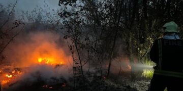 За добу черкаські рятувальники гасили чотири пожежі (ФОТО)