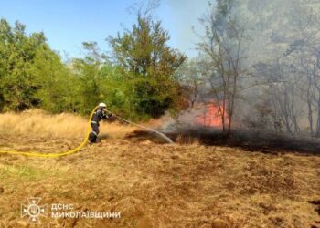 За добу на Миколаївщині ліквідовано 23 пожежі різного характеру » Миколаївський Оглядач