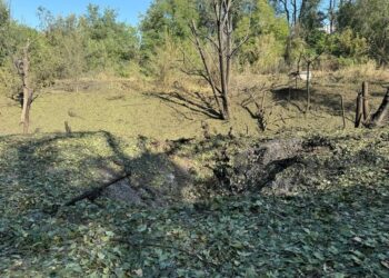 Запорізький ботасад тимчасово не працюватиме через обстріл – російська авіабомба пошкодила теплиці та рослини | Новости Запорожья