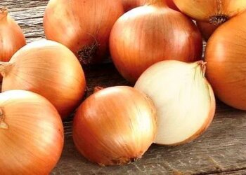 Озвучено оновлені ціни на цибулю в Україні – ЭКОНОМИКА