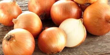 Озвучено оновлені ціни на цибулю в Україні – ЭКОНОМИКА