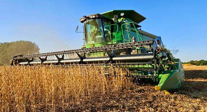 Аграрії Прикарпаття продовжують збирати врожай та сіють озимину