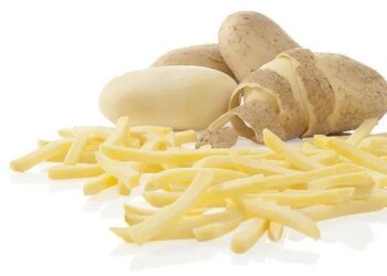 Будівництво першого заводу з виробництва картоплі фрі стартувало в Україні – ЭКОНОМИКА