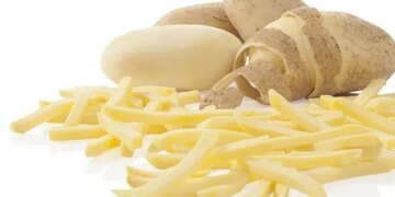 Будівництво першого заводу з виробництва картоплі фрі стартувало в Україні – ЭКОНОМИКА