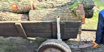 Чергові факти незаконної порубки лісу задокументували поліцейські на Рівненщині