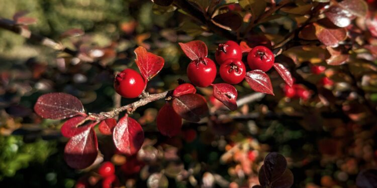 Дощі та зниження температури: якою буде погода на вихідних 10-11 жовтня | Журнал Житомира