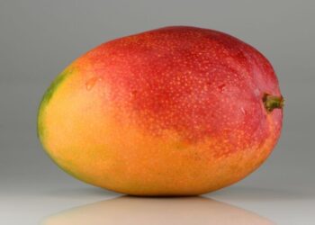 Дослідження: манго може знижувати ризик розвитку діабету навіть попри високий вміст цукру – Экономика