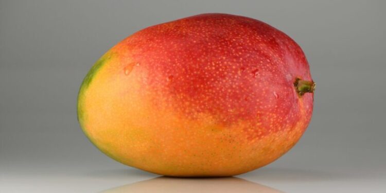 Дослідження: манго може знижувати ризик розвитку діабету навіть попри високий вміст цукру – Экономика