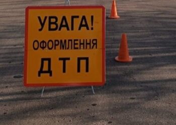 ДТП на Львівщині: поліцейський врізався в лося, загинув пасажир