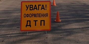 ДТП на Львівщині: поліцейський врізався в лося, загинув пасажир