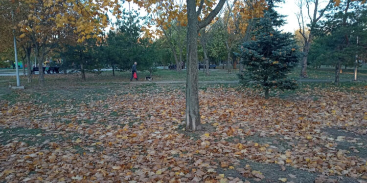 Яка погода очікується у Запоріжжі – прогноз Укргідрометцентру на 21, 21, 22 жовтня | Новости Запорожья