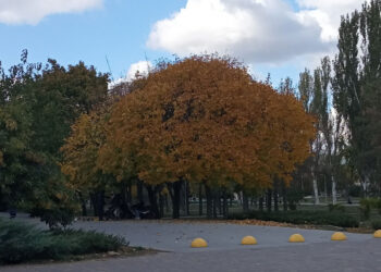 Яка погода очікується у Запоріжжі – прогноз Укргідрометцентру на 25, 26 жовтня | Новости Запорожья