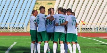 Львівський клуб оштрафували через лайку фанів на матчі “Карпати-“Полтава”