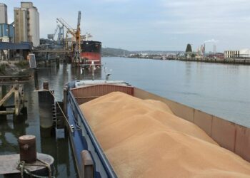 Морські порти забезпечили 71% агроекспорту України у 2024 році – Экономика