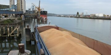 Морські порти забезпечили 71% агроекспорту України у 2024 році – Экономика