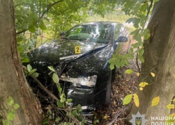 На Львівщині Audi вилетіла в кювет: постраждали три дитини