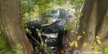 На Львівщині Audi вилетіла в кювет: постраждали три дитини