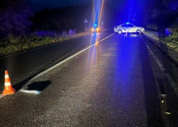 На Львівщині затримали водія, який втік після смертельної ДТП