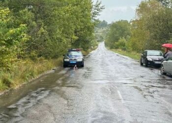 На Львівщині затримали водія, що збив пішохода насмерть і втік з місця ДТП