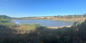 На Миколаївщині чоловік самовільно зайняв ставок :: Інтент :: Суспільно-політичне видання:: Регіональна мережа якісної журналістики