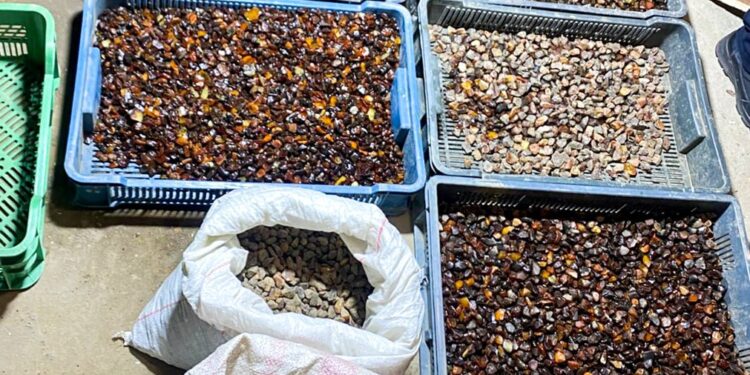 На Рівненщині трьом чоловікам, які організували незаконний бурштиновий бізнес, повідомлено про підозру