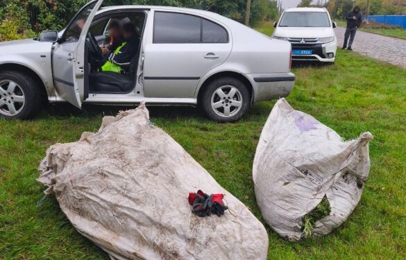 На Жашківщині чоловік, який зберігав наркотики, за 2 тисячі доларів намагався підкупити правоохоронців