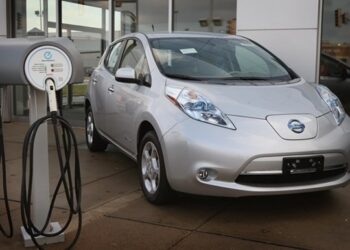 Один з найбільших автодилерів в Україні виступив проти продовження пільг на електромобілі – Экономика