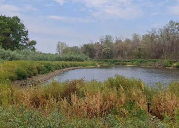 Озеро на Хортиці може зникнути — фотограф показав тривожні кадри | Новости Запорожья