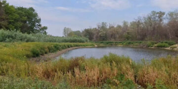 Озеро на Хортиці може зникнути — фотограф показав тривожні кадри | Новости Запорожья