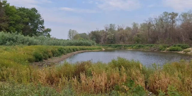 Озеро на Хортиці може зникнути — фотограф показав тривожні кадри | Новости Запорожья