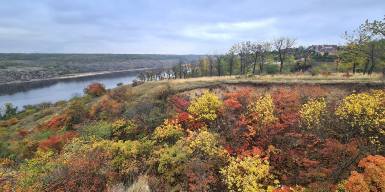 Погода у Запоріжжі 11–12 жовтня — прогноз на вихідні | Новости Запорожья